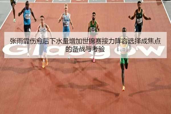 张雨霏伤愈后下水量增加世锦赛接力阵容选择成焦点的备战与考验